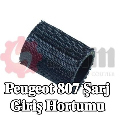 SEIM Şarj giriş hortumu — 2002 Peugeot 807