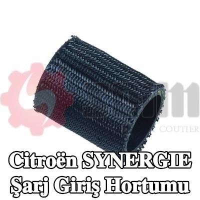 SEIM Şarj giriş hortumu — Citroën Synergie