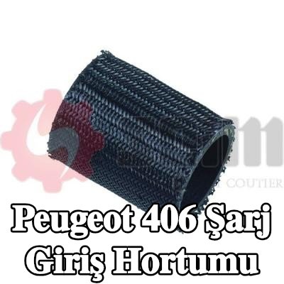 SEIM Şarj giriş hortumu — Peugeot 406