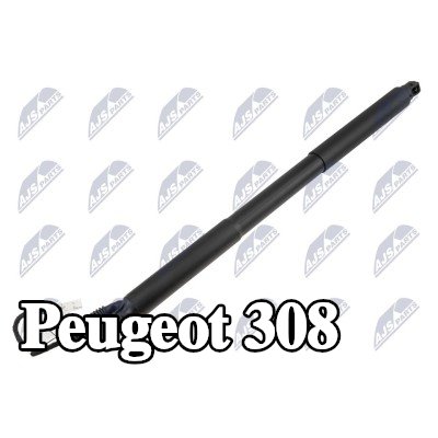 NTY محرك كهربائي، الباب الخلفي — Peugeot 308