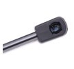 RIDEX دعامة الباب الخلفي الخلفية, كلا الجانبين, 279mm — Volkswagen Bora (4)