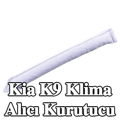 FEBI BILSTEIN Klima alıcı kurutucu R134a — Kia K9