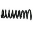 SACHS Helezon yay — Mercedes-Benz S-Class (1)