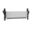RIDEX Intercooler — Ford Ranger (3)