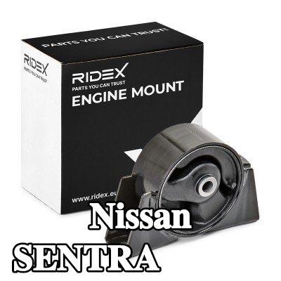 RIDEX حامل المحرك التثبيت الأمامي — 2002 Nissan Sentra