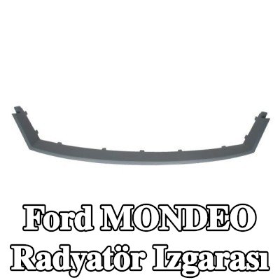 BLIC Radyatör Izgarası — 2002 Ford Mondeo