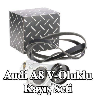 RIDEX V-Oluklu Kayış Seti — 1996 Audi A8