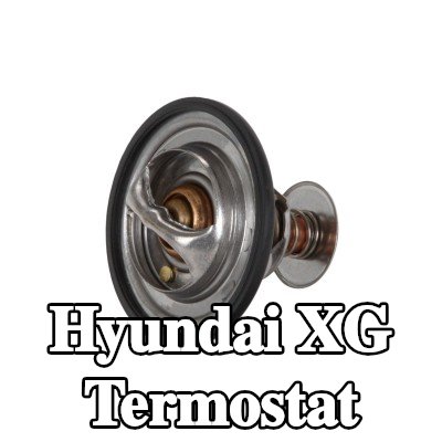 Continental Termostat 82°C, 64mm, 30mm, contalı/sızdırmaz — Hyundai Xg
