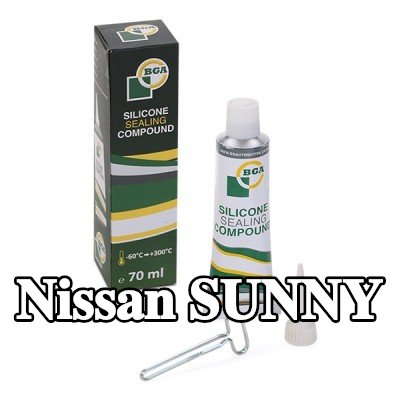 BGA مانع تسرب سيليكون — 1990 Nissan Sunny