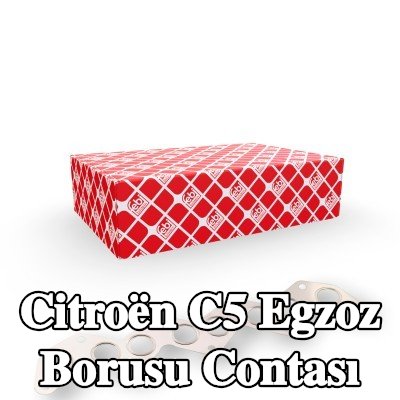 FEBI BILSTEIN Egzoz borusu contası — 2002 Citroën C5