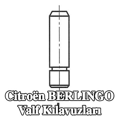 FRECCIA Valf Kılavuzları — 2020 Citroën Berlingo