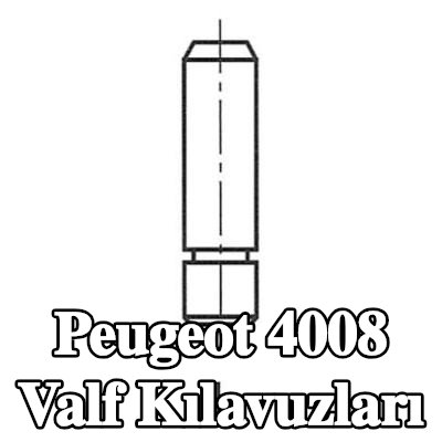 FRECCIA Valf Kılavuzları — Peugeot 4008