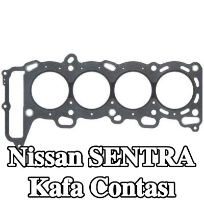 ELRING Kafa contası — 2000 Nissan Sentra