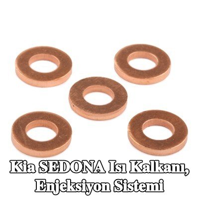 DELPHI Isı Kalkanı, enjeksiyon sistemi — 2000 Kia Sedona