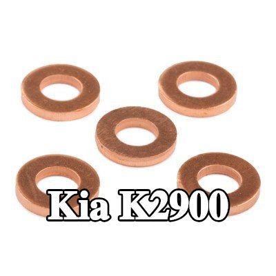 DELPHI واقي حراري، نظام الحقن — Kia K2900
