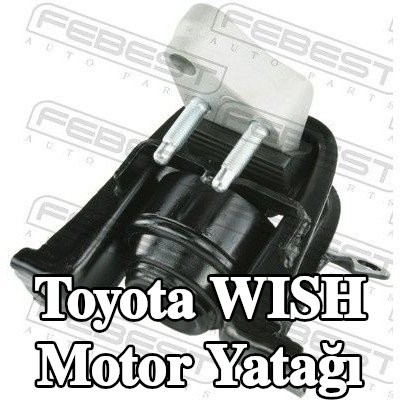 FEBEST Sağ Ön Motor Yatağı — Toyota Wish
