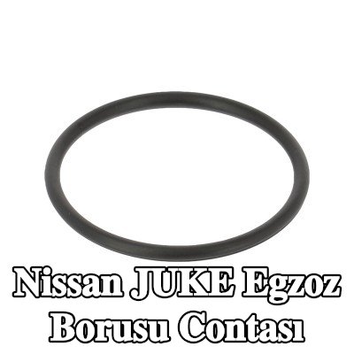 WALKER Egzoz borusu contası — Nissan Juke
