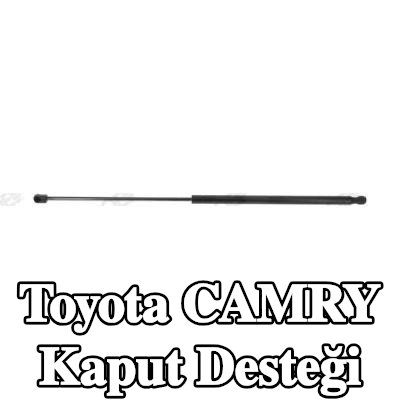MONROE Kaput desteği — 2010 Toyota Camry