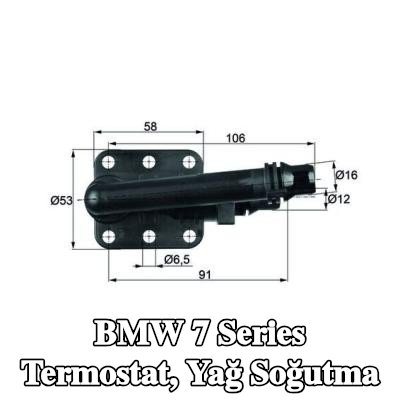 MAHLE Termostat, yağ soğutma — 2002 BMW 7 Series