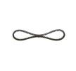 BOSCH V-kayışı 700mm — Citroën Cx (4)