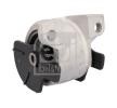 FEBI BILSTEIN Motor yatağı, sol — Honda Hr-v (3)