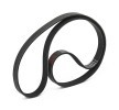 RIDEX PLUS V-Oluklu Kayış Seti — Opel Tigra (11)