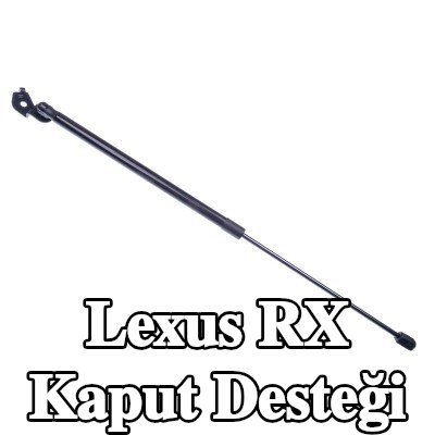 DENCKERMANN Kaput desteği — 2003 Lexus Rx