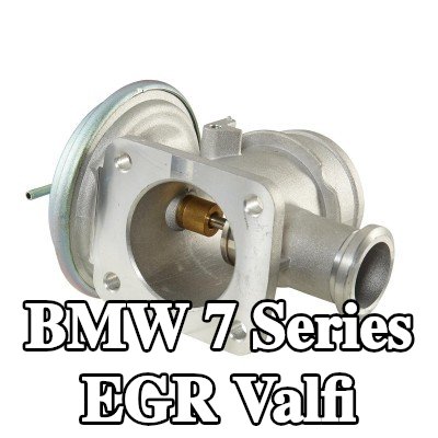 HELLA Contasız/sızdırmazlık elemanı olmayan EGR valfi — 2000 BMW 7 Series