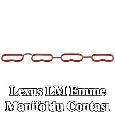 ELRING Emme manifoldu contası — Lexus Lm