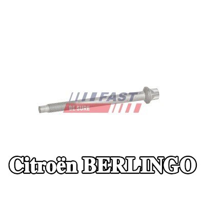FAST برغي مشبك الحاقن — Citroën Berlingo