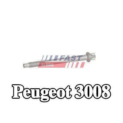 FAST برغي مشبك الحاقن — Peugeot 3008
