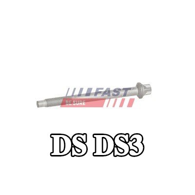 FAST برغي مشبك الحاقن — DS Ds3