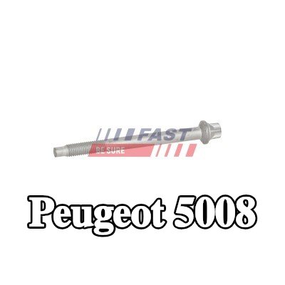 FAST برغي مشبك الحاقن — Peugeot 5008