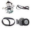 RIDEX Su Pompası + V-Kanalı Kayış Kiti — Ford Focus (1)
