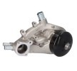 DNJ ENGINE COMPONENTS Su pompası conta halkalı su pompası — Chevrolet Express (1)