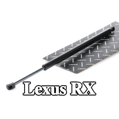 RIDEX دعامة الباب الخلفي الخلفية, 595mm — Lexus Rx