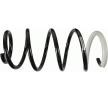 SACHS Helezon yay — 2011 Kia Soul (2)
