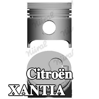 NÜRAL المكبس — 1997 Citroën Xantia