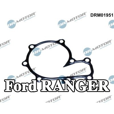 DR.MOTOR AUTOMOTIVE حشية، مضخة المياه — Ford Ranger
