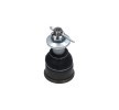 KAVO PARTS Rulmanlı Mafsal — Honda Civic (3)