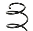 SACHS Helezon yay — BMW 3 Series (3)