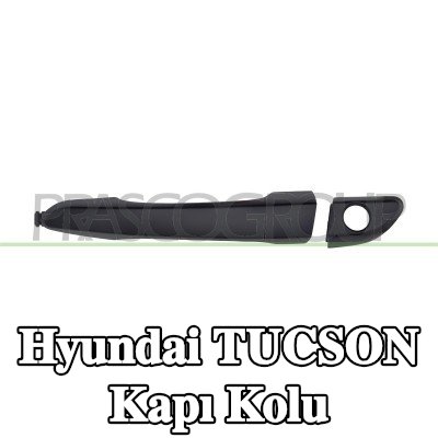 PRASCO Kapı kolu Sol ön — 2020 Hyundai Tucson