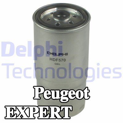 DELPHI مضخة الحقن — Peugeot Expert