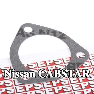 EPS حشية, ثرموستات صنع في إيطاليا - مكافئ للمعدات الأصلية — Nissan Cabstar
