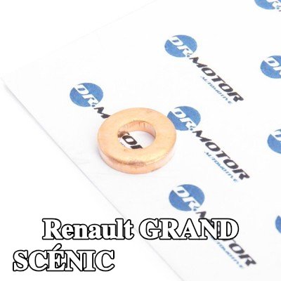 DR.MOTOR AUTOMOTIVE واقي حراري، نظام الحقن — Renault Grand Scénic