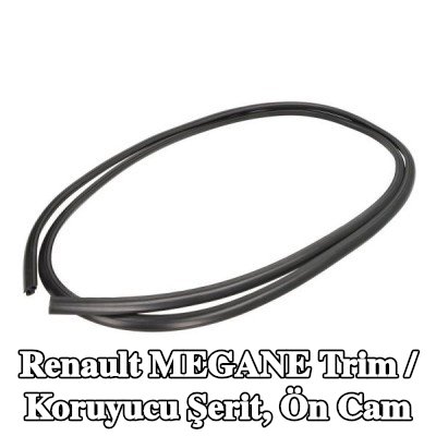 BLIC Trim / Koruyucu Şerit, ön cam — 2000 Renault Megane