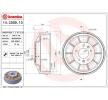 BREMBO Fren kampanas 254mm — Peugeot Expert (2)