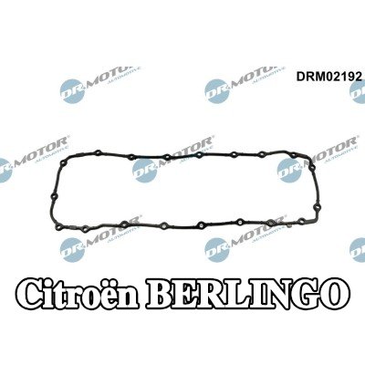 DR.MOTOR AUTOMOTIVE حشية، حوض الزيت — Citroën Berlingo