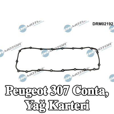 DR.MOTOR AUTOMOTIVE Conta, yağ karteri — Peugeot 307
