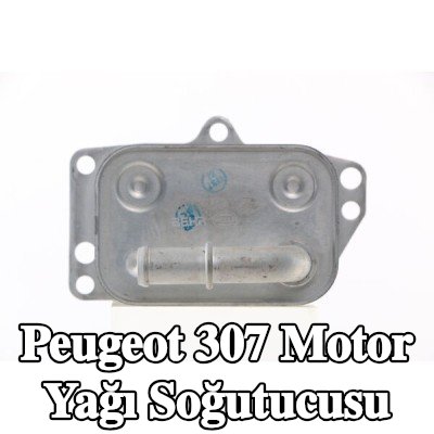 MAHLE Conta/sızdırmazlık elemanı olmayan motor yağı soğutucusu — 2004 Peugeot 307